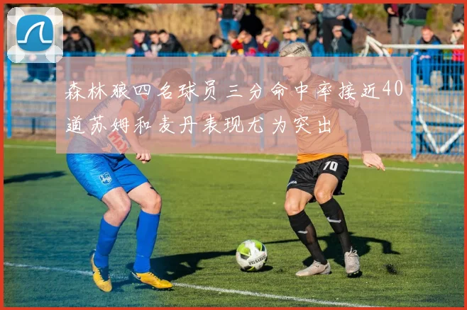 森林狼四名球员三分命中率接近40道苏姆和麦丹表现尤为突出