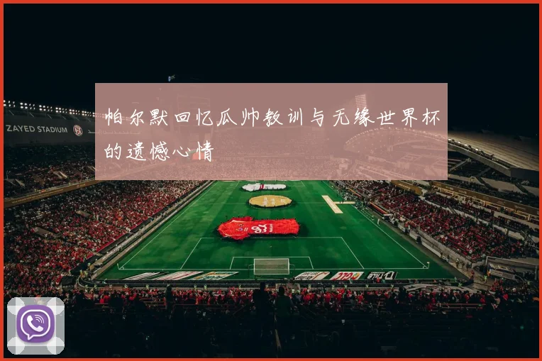 帕尔默回忆瓜帅教训与无缘世界杯的遗憾心情